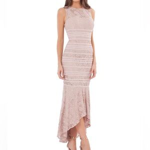 NWT JS COLLECTIONS Blush‎ Lace High Low Dress